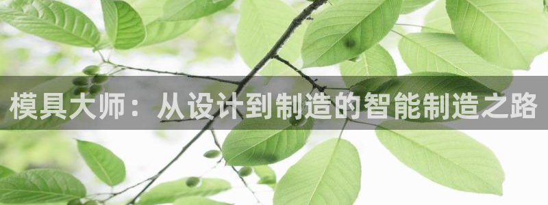 太阳控股集团有限公司董事长：模具大师：从设计到制造的智能制造之路