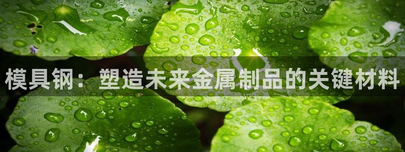 太阳诚集团：模具钢：塑造未来金属制品的关键材料