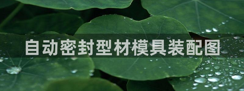 太阳集团城网址古天乐：自动密封型材模具装配图