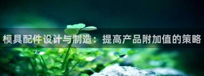 太阳集团股份有限公司：模具配件设计与制造：提高产品附加值的策略