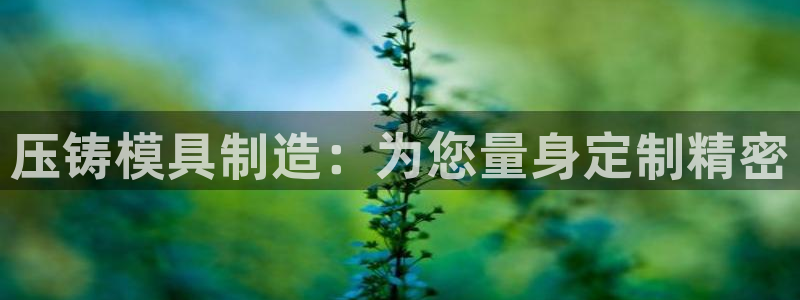 太阳gg注册平台页面：压铸模具制造：为您量身定制精密