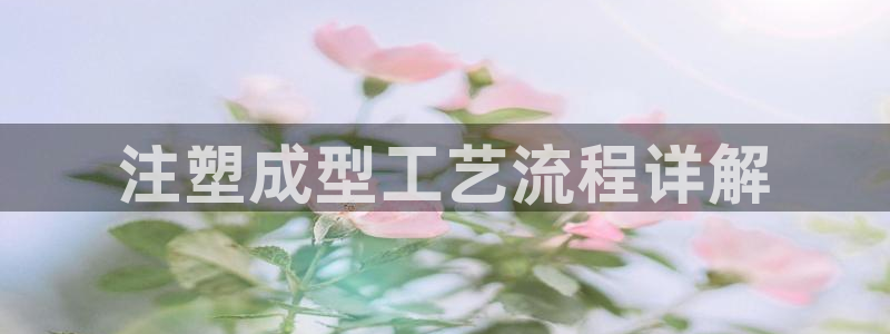 太阳阳城集团有限公司：注塑成型工艺流程详解