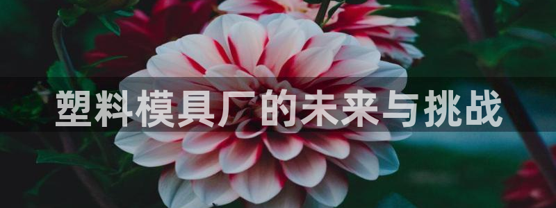 太阳成集团老板：塑料模具厂的未来与挑战