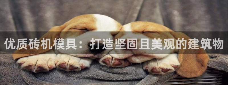 太阳游戏城app：优质砖机模具：打造坚固且美观的建筑物