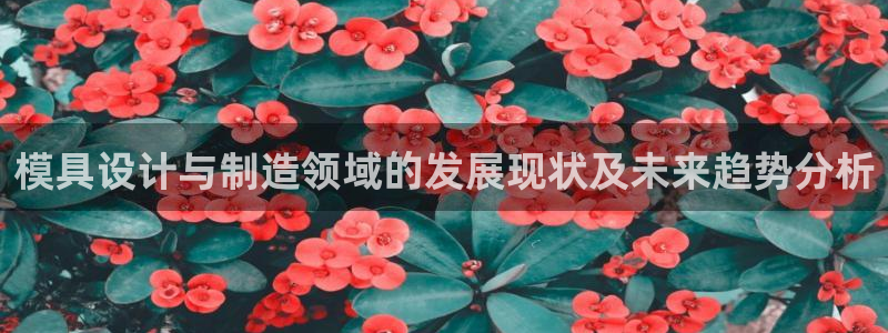 江苏太阳集团冷青松：模具设计与制造领域的发展现状及未来趋势分析