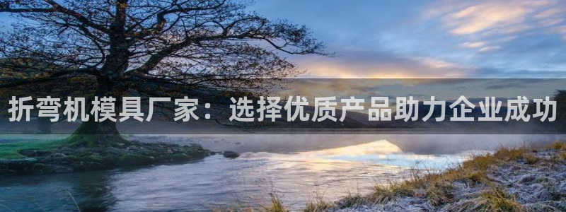 太阳集团游戏2138网站：折弯机模具厂家：选择优质产品助力企业成功