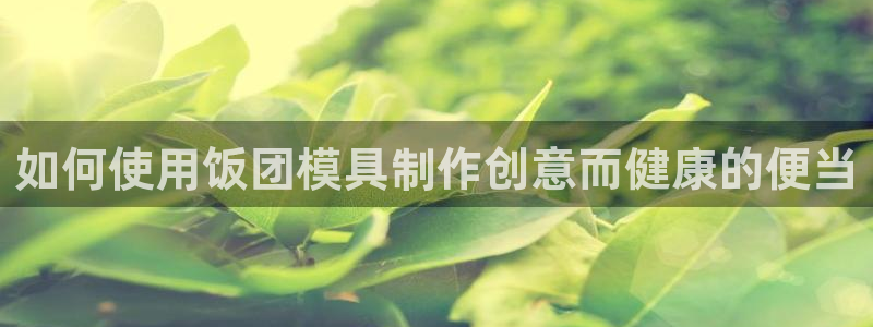 高淳红太阳集团：如何使用饭团模具制作创意而健康的便当