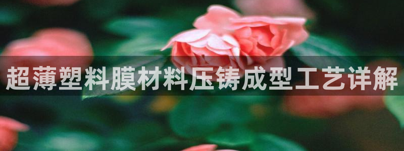 太阳集团城网址娱网 - 太阳集团电子游戏