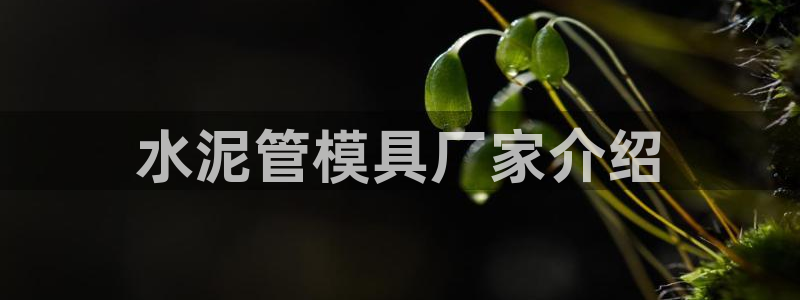 063801太阳集团备用网址：水泥管模具厂家介绍