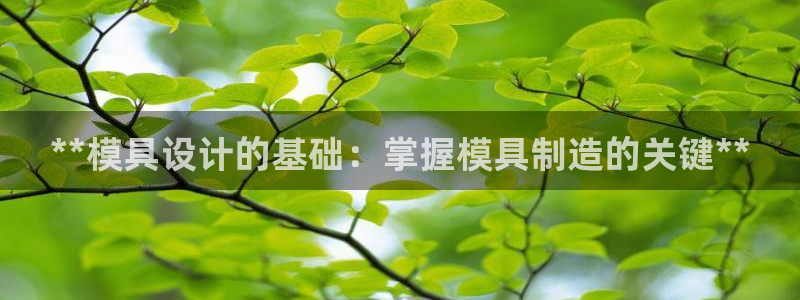 太阳商城贵宾会：**模具设计的基础：掌握模具制造的关键**