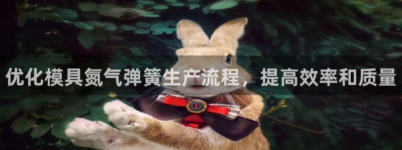 太阳集团tcy8722贵宾会：优化模具氮气弹簧生产流程，提高效率和质量