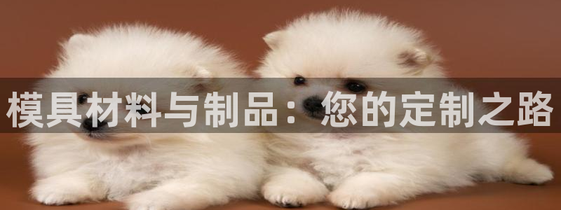 suncitygroup太阳集团：模具材料与制品：您的定制之路