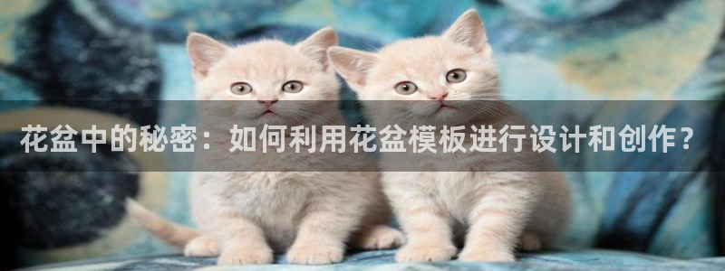 太阳集团市值：花盆中的秘密：如何利用花盆模板进行设计和创作？