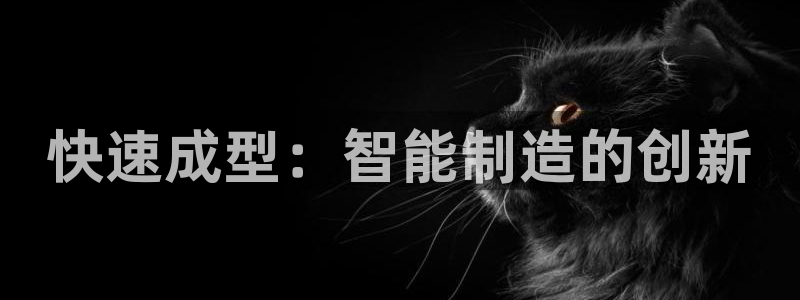 太阳商城贵宾会2017cm：快速成型：智能制造的创新