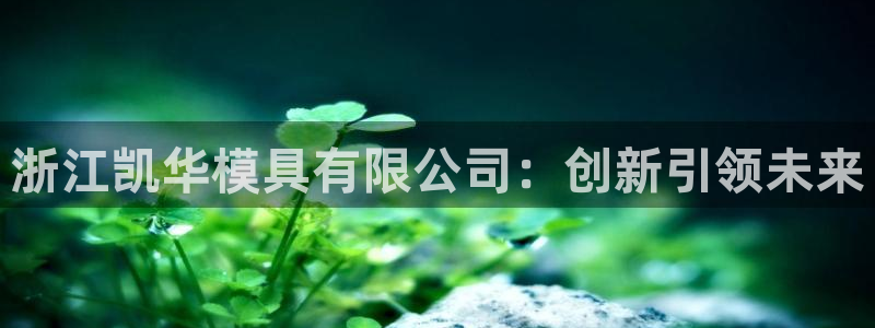 太阳成集团tyc9728：浙江凯华模具有限公司：创新引领未来