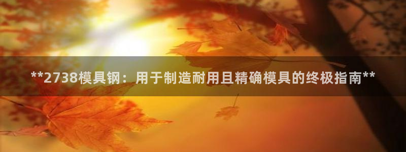 太阳集团网址首页：**2738模具钢：用于制造耐用且精确模具的终极指南**