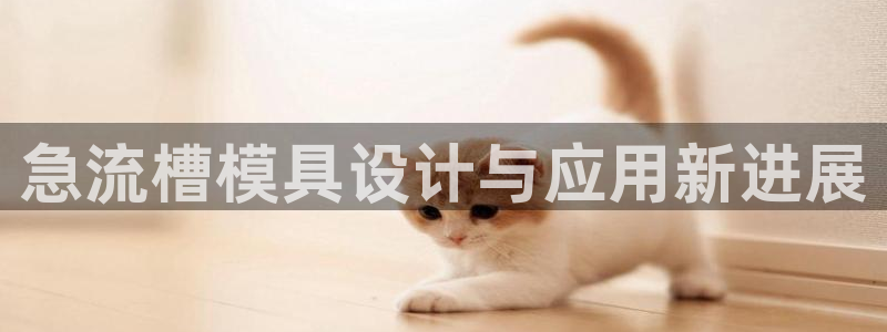 奥门太阳集团城：急流槽模具设计与应用新进展