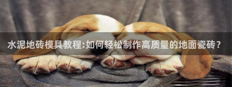 太阳成集团tyc3345：水泥地砖模具教程:如何轻松制作高质量的地面瓷砖？