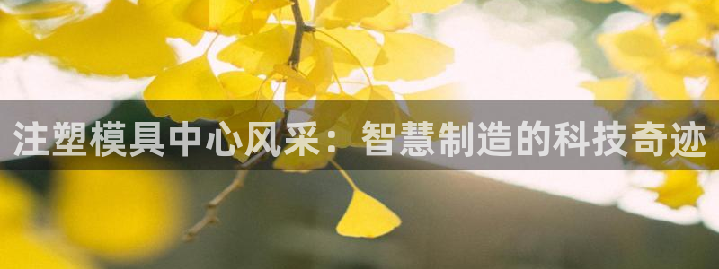 太阳集团游戏城新版138：注塑模具中心风采：智慧制造的科技奇迹