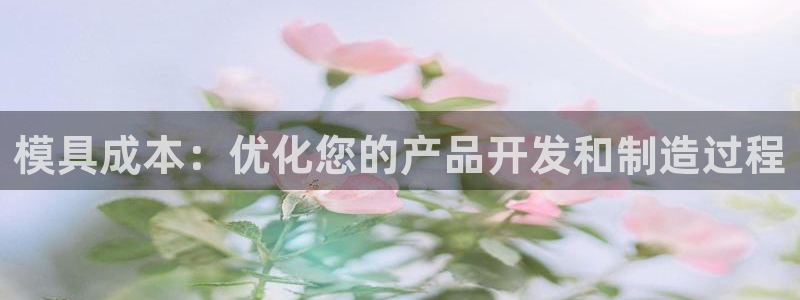 太阳集团娱乐全部网址视频：模具成本：优化您的产品开发和制造过程