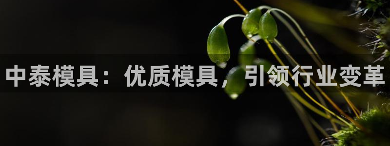 122cc太阳集成游戏官方网站版：中泰模具：优质模具，引领行业变革