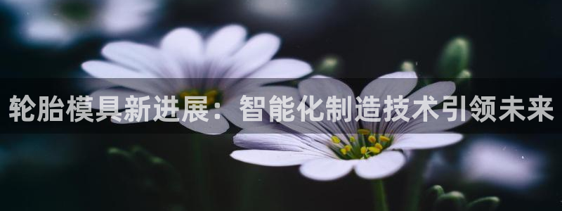 太阳成集团娱乐网站：轮胎模具新进展：智能化制造技术引领未来