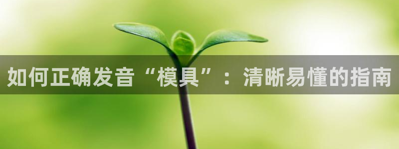 太阳老板是谁：如何正确发音“模具”：清晰易懂的指南