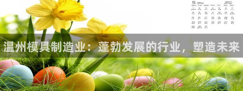 太阳集团网址首页：温州模具制造业：蓬勃发展的行业，塑造未来