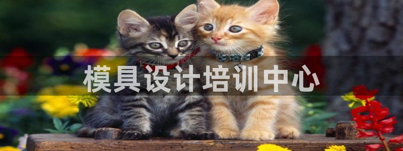 太阳2平台app下载：模具设计培训中心