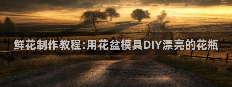 太阳集团游戏2138网站