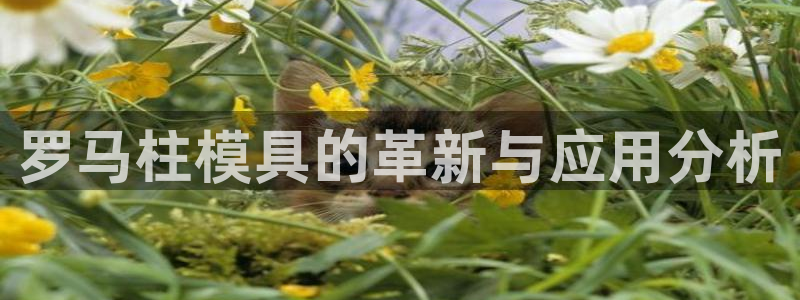 太阳影业投资：罗马柱模具的革新与应用分析