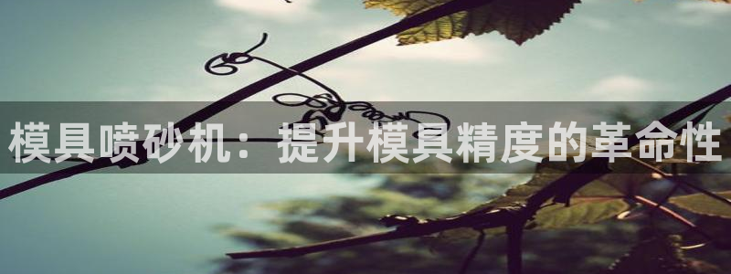 太阳成集团tyc234cc古天乐下载：模具喷砂机：提升模具精度的革命性