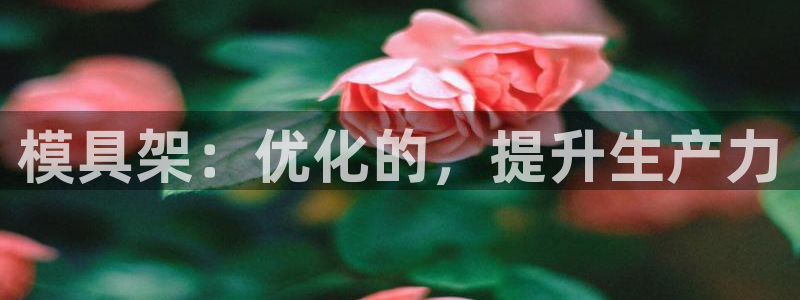 太阳集团城官方app：模具架：优化的，提升生产力