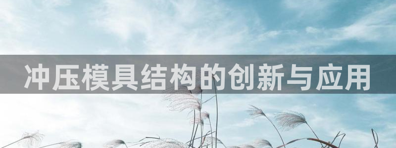 太阳诚集团有限公司怎么样：冲压模具结构的创新与应用