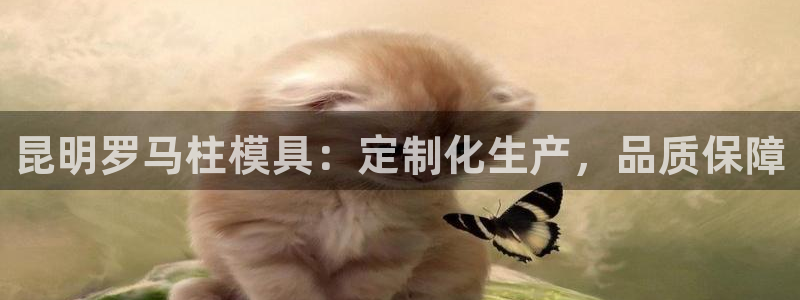 太阳集团注册就送38：昆明罗马柱模具：定制化生产，品质保障
