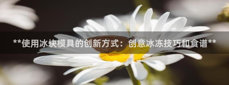 太阳集团下载链接怎么下载：**使用冰块模具的创新方式：创意冰冻技巧和食谱**