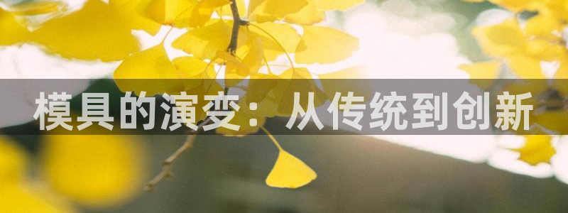 太阳成集团tyc234cc[主页]振：模具的演变：从传统到创新