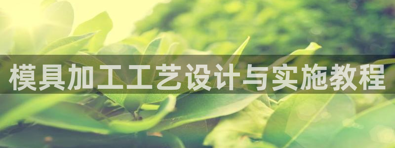 太阳集团网站入口官网网址：模具加工工艺设计与实施教程
