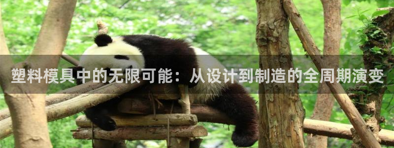 太阳集团下载链接：塑料模具中的无限可能：从设计到制造的全周期演变