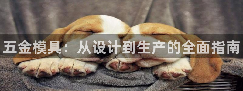 太阳集团注册：五金模具：从设计到生产的全面指南