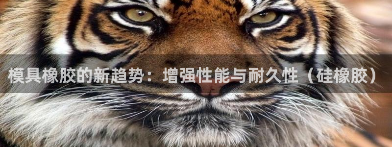 太阳集团8027：模具橡胶的新趋势：增强性能与耐久性（硅橡胶）
