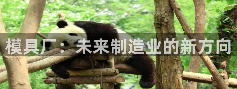 太阳集团app十佳平台有哪些：模具厂：未来制造业的新方向
