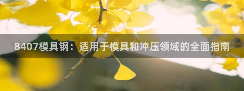 太阳集团电子游戏官网小额充值：8407模具钢：适用于模具和冲压领域的全面指南
