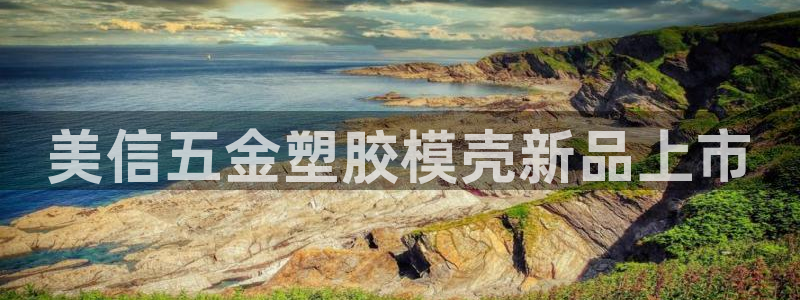 太阳集团2018登录网址：美信五金塑胶模壳新品上市