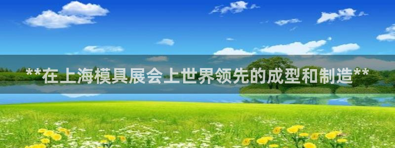 太阳集团官网导航首页：**在上海模具展会上世界领先的成型和制造**