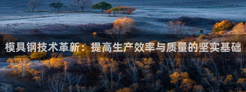 063801太阳集团备用网址：模具钢技术革新：提高生产效率与质量的坚实基础