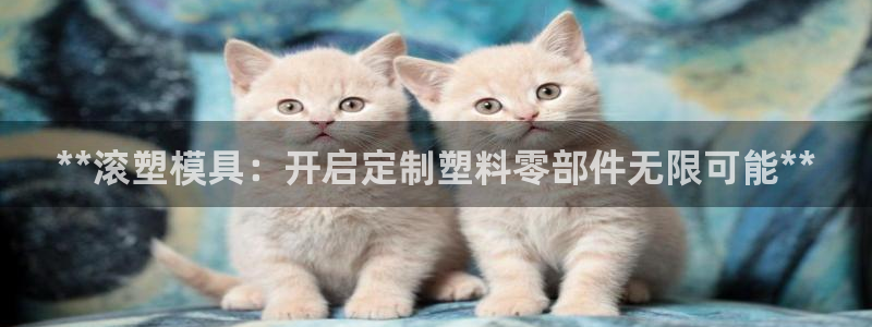 古天乐代言太阳网址：**滚塑模具：开启定制塑料零部件无限可能**
