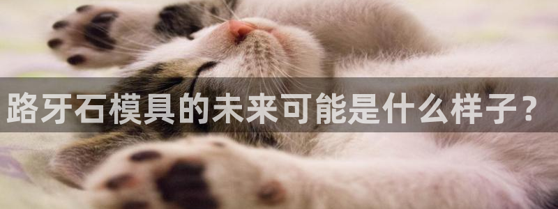 8827太阳集团：路牙石模具的未来可能是什么样子？
