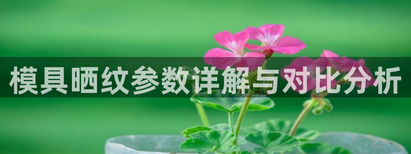 太阳集团总裁：模具晒纹参数详解与对比分析