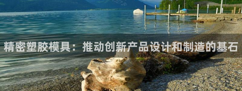 太阳成集团tyc234cc主页网站：精密塑胶模具：推动创新产品设计和制造的基石